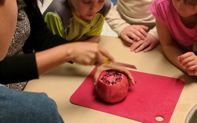 Nov. 08: Youth Cooking- Priceless Pomegranate – 464102